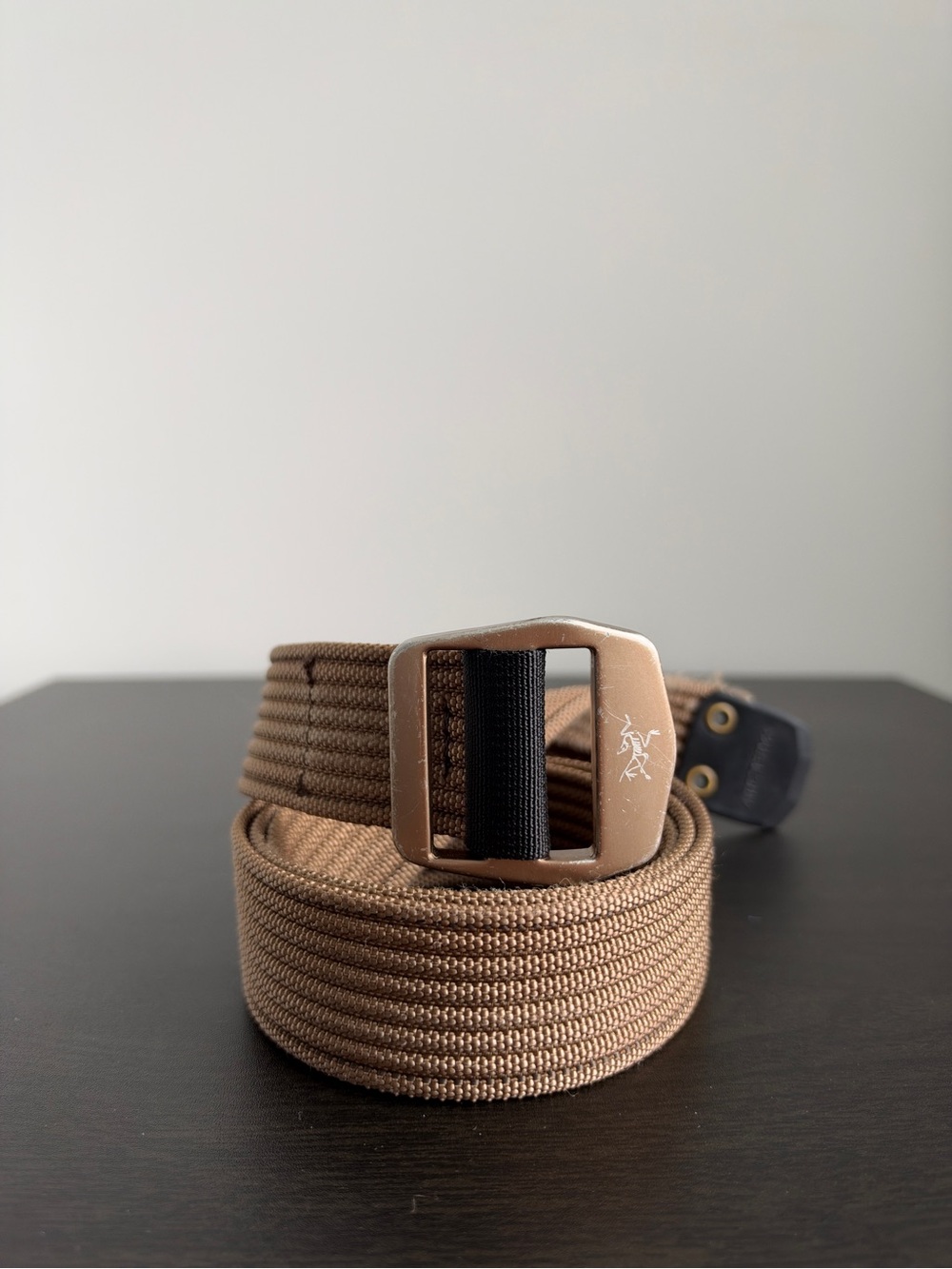 Arc’teryx Men's Conveyor Belt Canvas